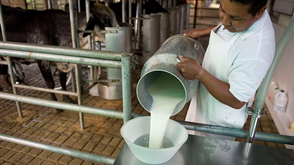 am 2 2403, Incluso el mercado internacional ha presentado un déficit de ciertos alimentos derivados de la leche, que se agravaría debido al aumento en el costo de los servicios de transporte marítimo.