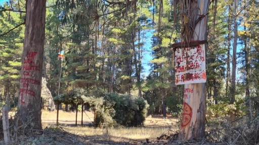 Dirigentes rurales exigieron desalojo tras toma de predio en Aurora de Enero en Mulchén
