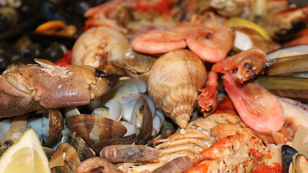 seafood-shellfish-food-fish-kitchen-crab, 