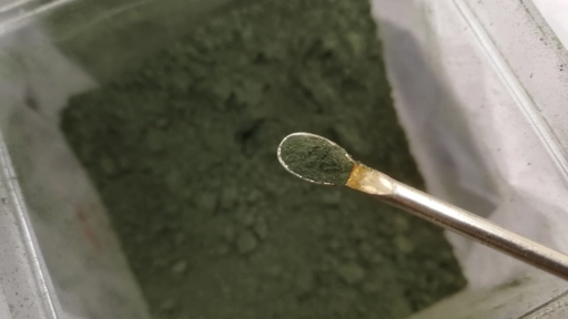 Crean empresa con científica tecnológica basada en  microorganismos controladores de plagas
