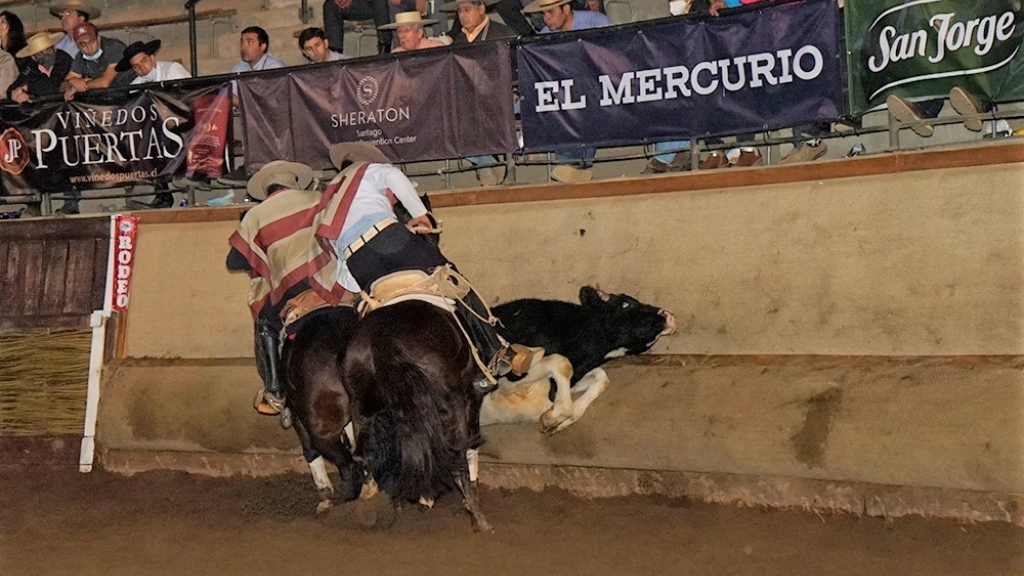 Criadero El Peñasco de Santa Sylvia, con Pablo Aninat..., 