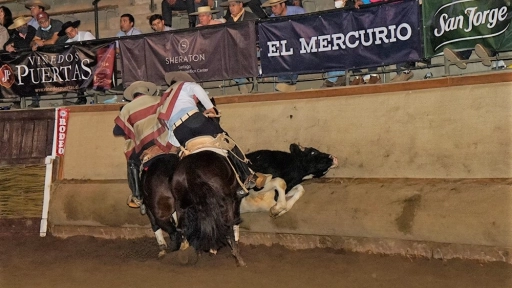 Con pleno éxito se realizó Campeonato Nacional de Rodeo en su versión número 73