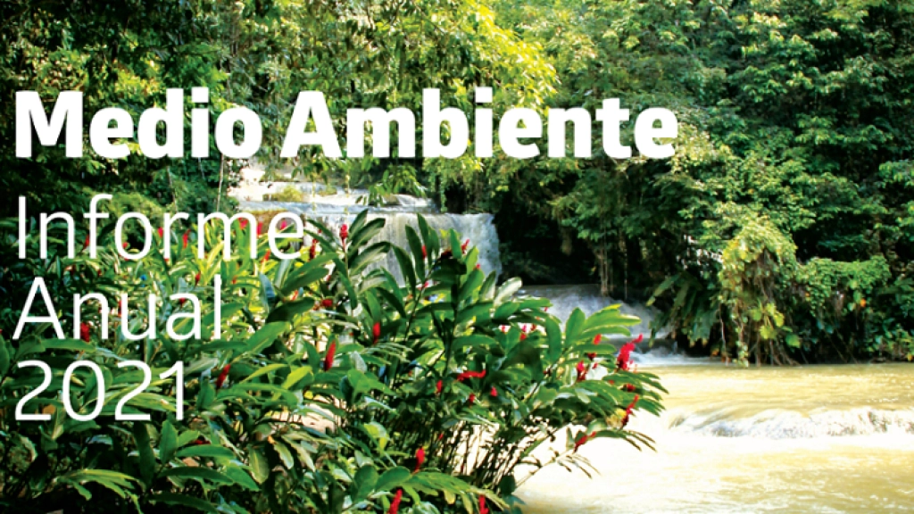 Medio Ambiente, 