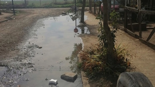 VIDEO: Denuncian rebalse de aguas servidas hace dos meses en San Carlos Purén
