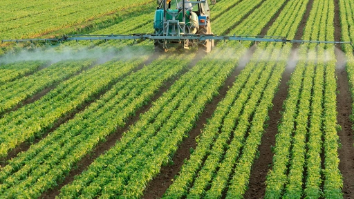 Gremio agrícola de Biobío resalta plan para mitigar alza de precios en los alimentos