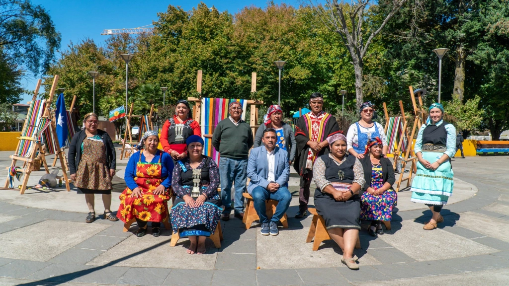 CP Telar Mapuche Nueva Imperial 3, 