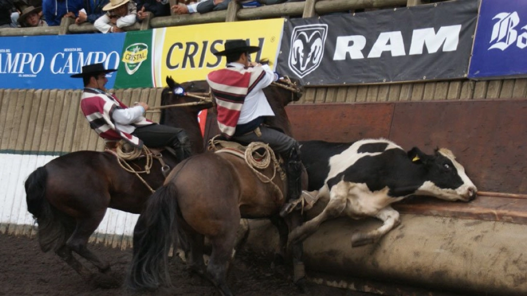 radio 1 2104, Si bien los corraleros mantienen las condiciones en el deporte y en el cuidado anterior y posterior a la práctica nacional, se han visto enfrentados a críticas de detractores.