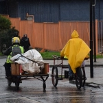 lluvia temporal (2), 
