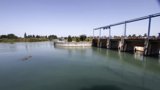 Regantes: Mantener derechos de agua permitiría un mejor aprovechamiento del recurso