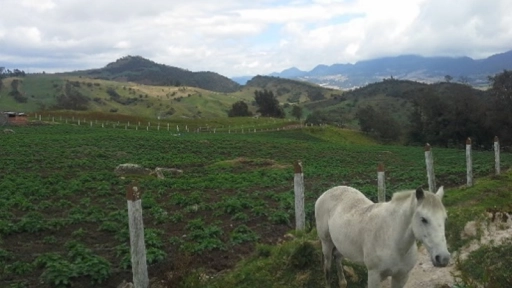 Convocan a concurso Historias de Nuestra Tierra, que releva la cultura rural de Chile