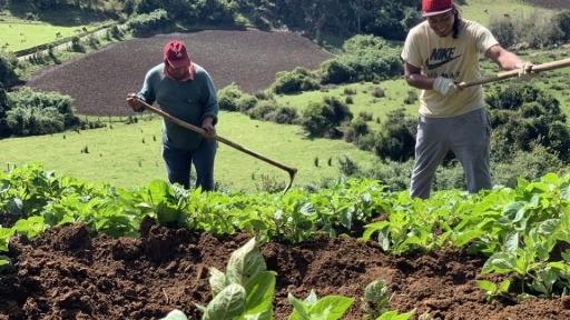 Lanzan Año Agrícola 2022 para impulsar el desarrollo de la agricultura en el país