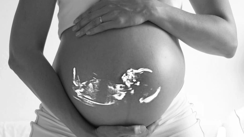 pregnant-baby-echo-ultrasound, 