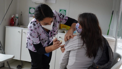 En Alto Biobío: realizan operativo por vacunación contra la influenza