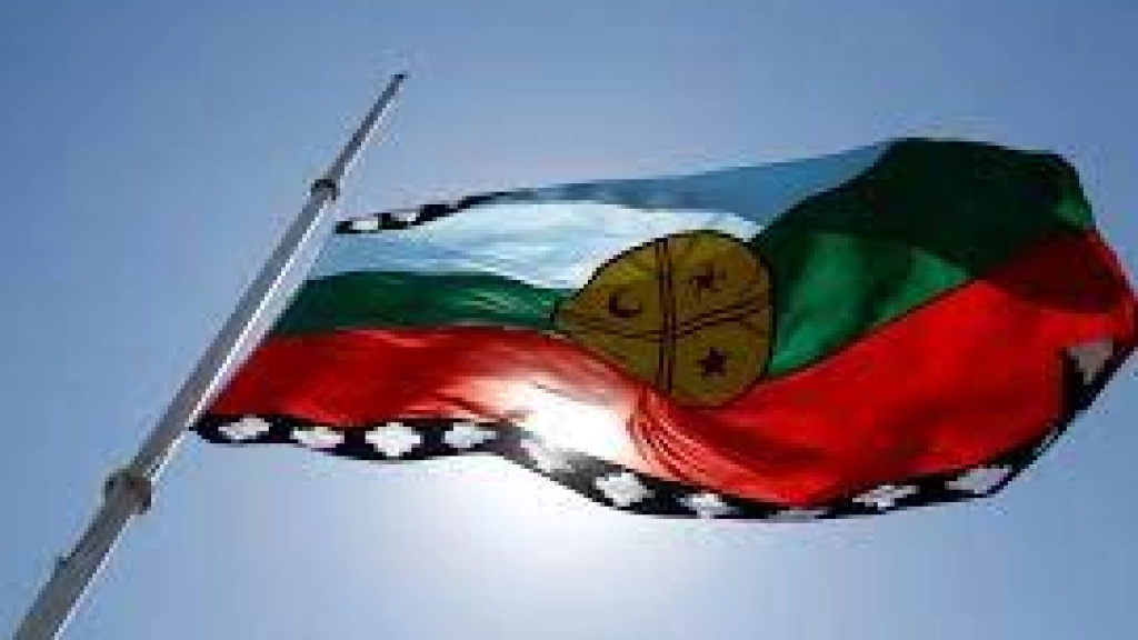 bandera pueblos originarios, 