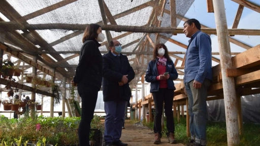 Explicaron programa Siembra por Chile a pequeños agricultores de Hualqui 