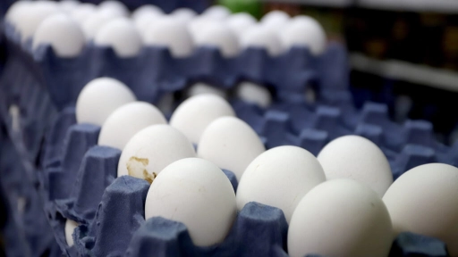 Productores de huevos podrían dejar la actividad por mal panorama internacional