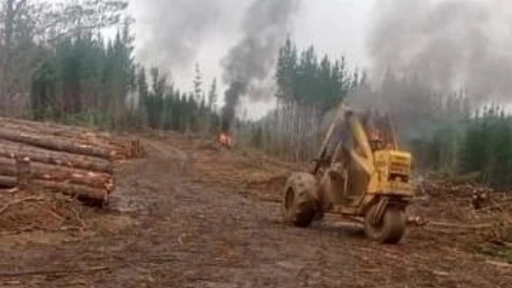 Lumaco: Tres maquinarias forestales y un minibus fueron incendiados en nuevo atentado
