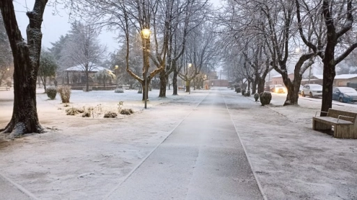 FOTOS: Antuco vivió su primera nevada de esta temporada 2022