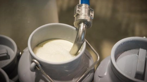 Producción de leche disminuye y costos productivos se mantienen altos