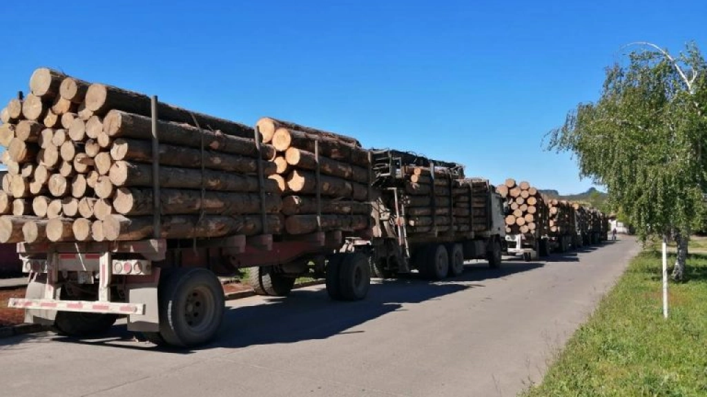 am 3 0108, El dirigente aseveró que la industria más afectada ha sido la forestal, al ser el foco de los atentados su equipamiento y no contar con las condiciones necesarias para realizar sus actividades.