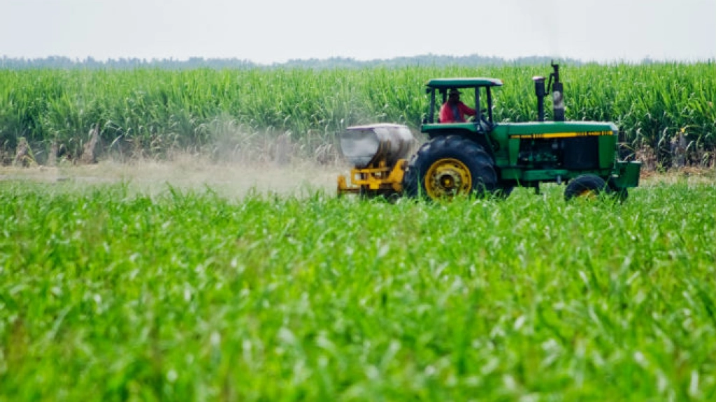 am 3 2908, El conflicto entre Rusia y Ucrania, zonas donde se produce entre el 30 al 40 por ciento de los fertilizantes a nivel mundial, redundó en un aumento en los precios de estos últimos a nivel mundial.