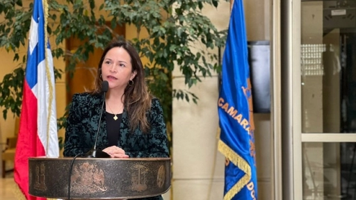 Presentan proyecto de ley que establece el terrorismo rural como delito