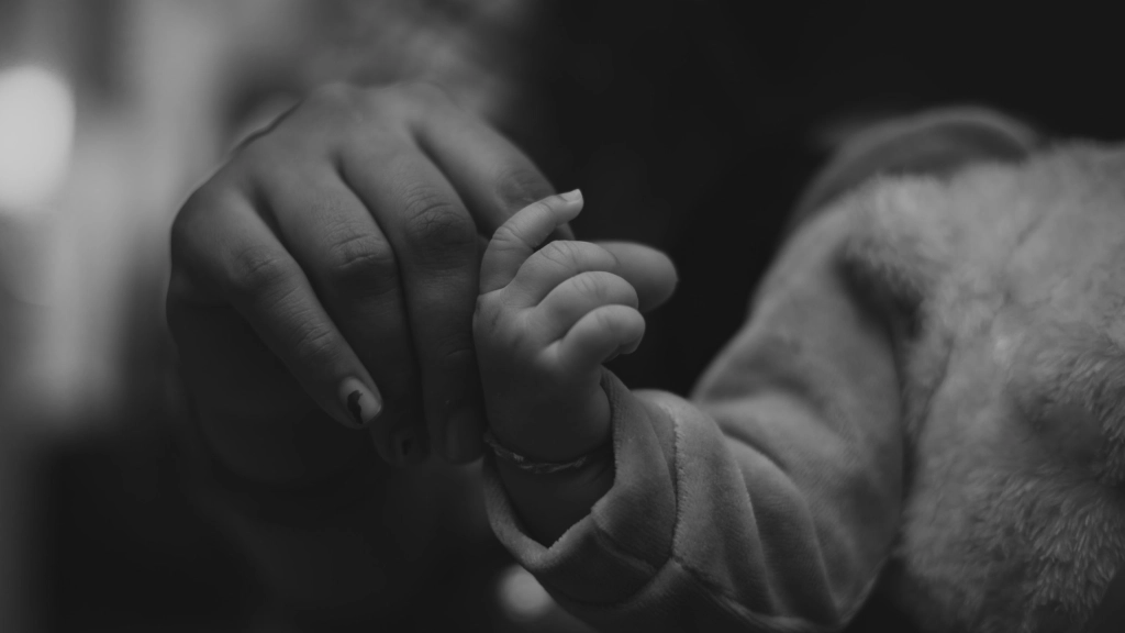 pexels-nikhil-singh-9392609 (1), 