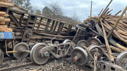 Gorbea: Una vivienda con daños dejó descarrilamiento de tren de carga de madera