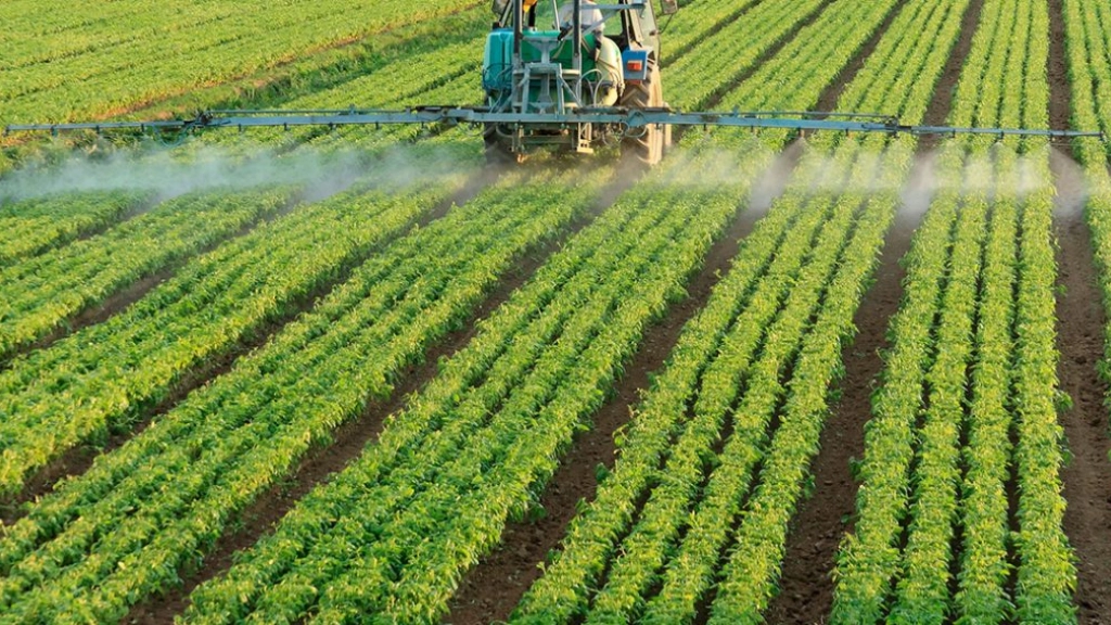 pm 2 2508, El proceso inflacionario de los costos para la producción en los predios y los eventuales cambios que traería la nueva constitución han impactado considerablemente a la agricultura chilena.