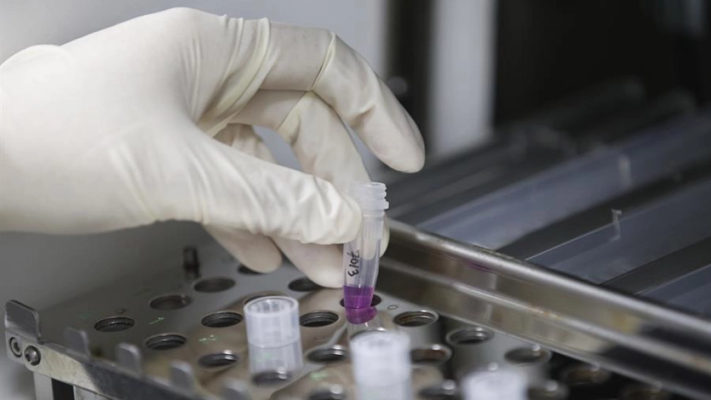 f57417152cece3c43f5c47d0f0a4404edfe2479fminiw, Fotografía de archivo. EFE/EPA/RUNGROJ YONGRIT