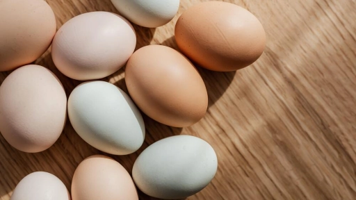 Chile apuntará a elevar la producción y el consumo de huevos los próximos años