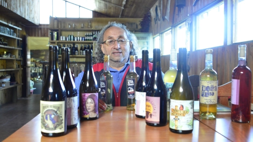 Viñatero de la zona de Millapoa descubre vino de la desconocida cepa Trincadeira