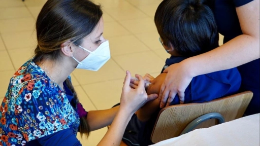 Vacunación contra la influenza llega al 91,6 % en la región del Biobío