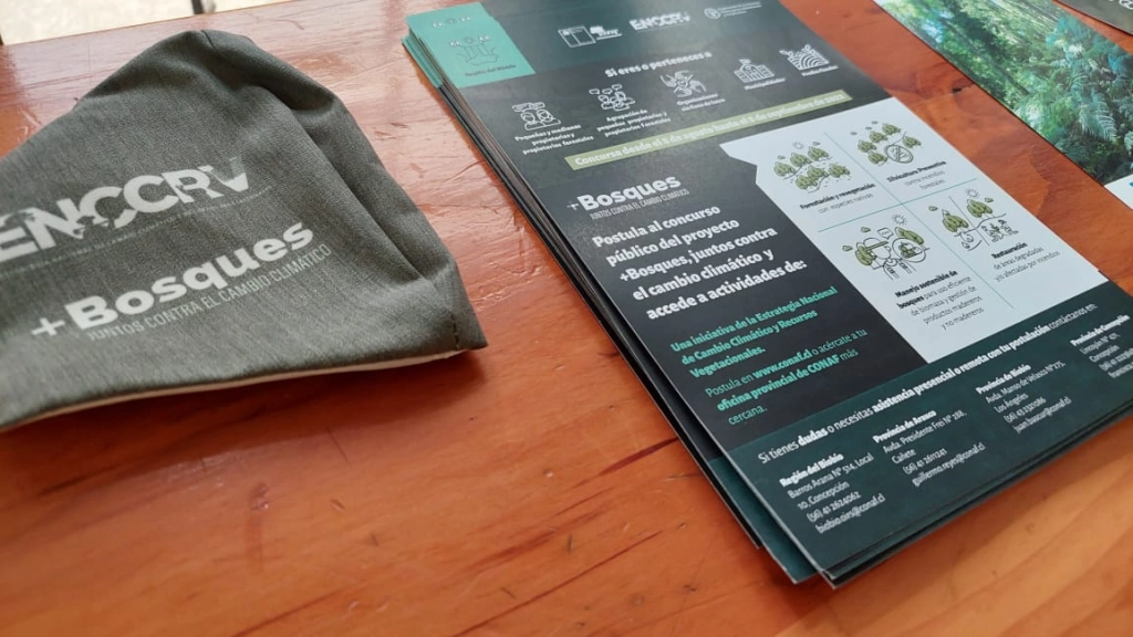 {signomas}Bosques 3, 