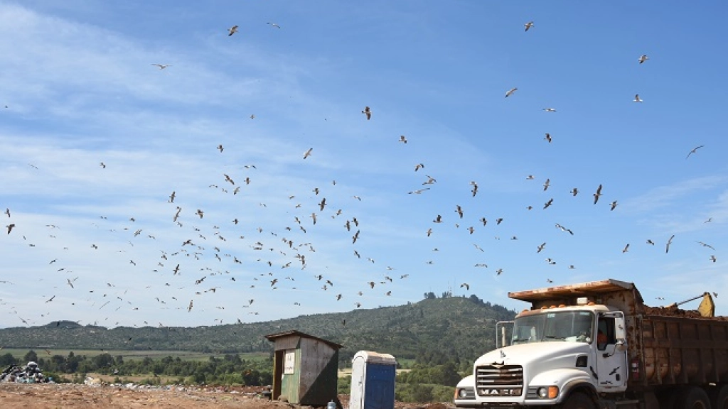 Relleno Sanitario Laguna Verde Basural Vertedero (83), 