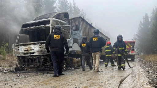 Contratistas forestales demandaron al Estado por daños en ataques incendiarios en Macrozona Sur
