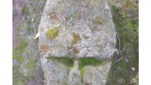 Descartan hallazgo arqueológico en piedras talladas con rostro humano cerca de San Carlos Purén