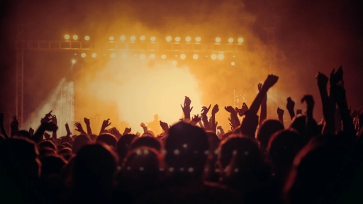 Desórdenes y aglomeraciones marcaron el primer concierto de Daddy Yankee en Chile
