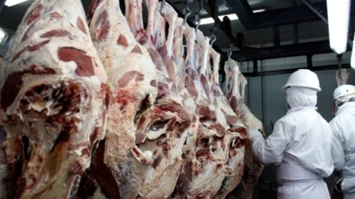 Producción de carne de ganado bovino del Biobío descendió 7,3% en agosto 