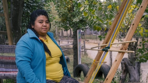 Lucrecia Manquel: La tejedora  pehuenche que proyecta su oficio desde la cordillera al mundo