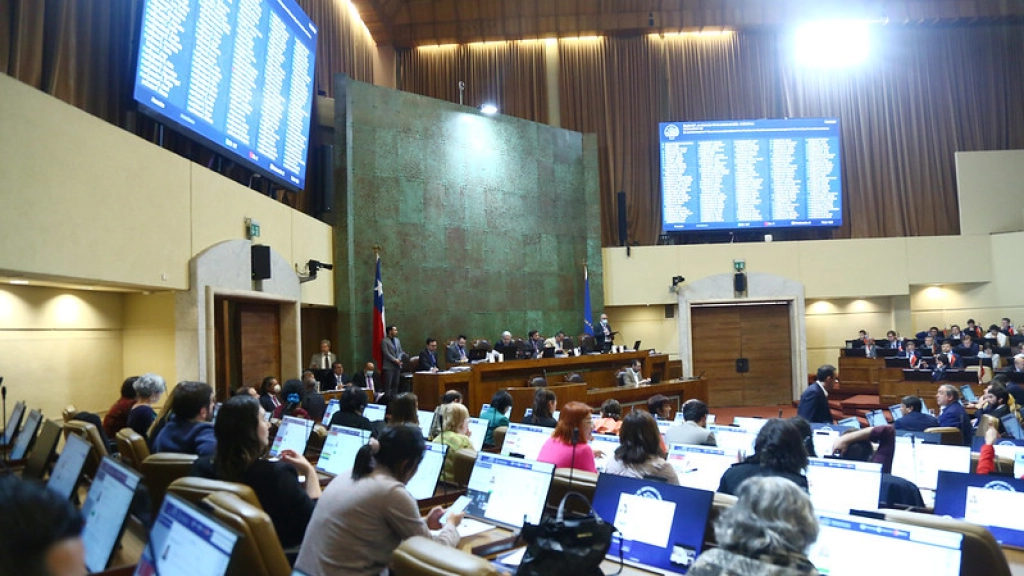 camara de diputados, 