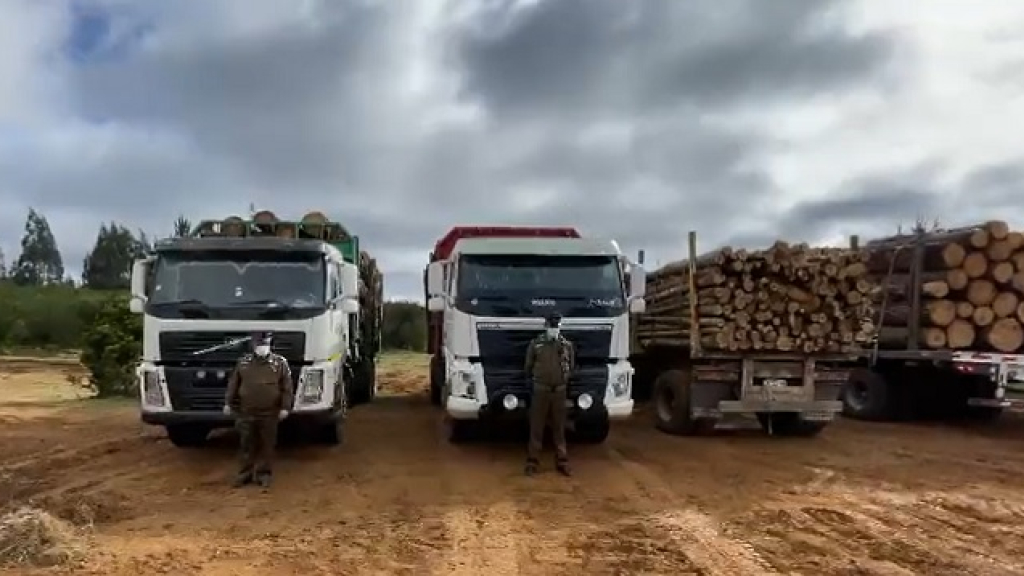 Detienen A Tres Sujetos Por El Delito De Robo De Madera En La Provincia