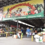 VEGA TECHADA2019 (21), 