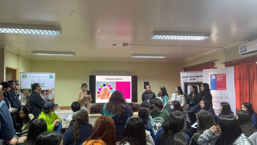 Agrupación estudiantil participa en la Mesa Provincial de Género abordando la violencia en el pololeo