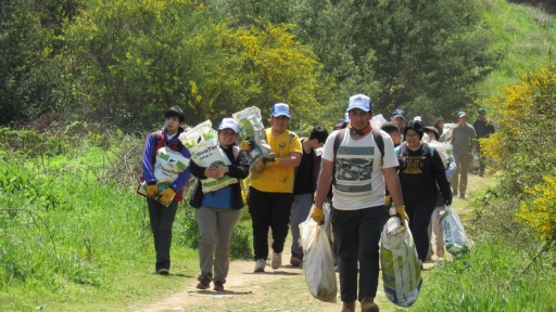 Realizan jornada de caminata para eliminar microbasurales del sector Bureo en Mulchén