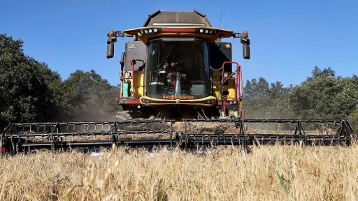 Agricultores chilenos aseguraron que continuarán su labor para lograr nuevos acuerdos comerciales