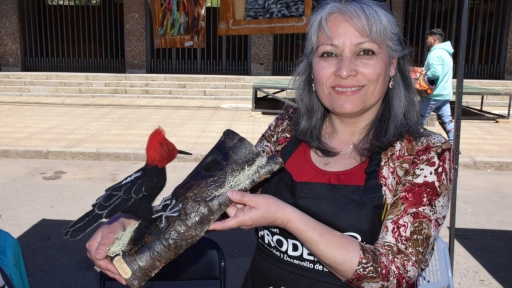 Marianela Lavado, la emprendedora de Nacimiento que esculpe en lana aves y animales