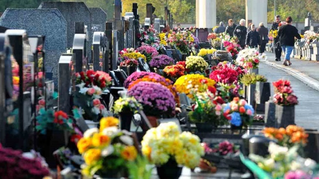 Flores-Dia-de-Todos-los-Santos, 