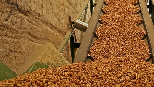 Centros integrales de biomasa aportarían en el mercado del pellet y de la madera seca