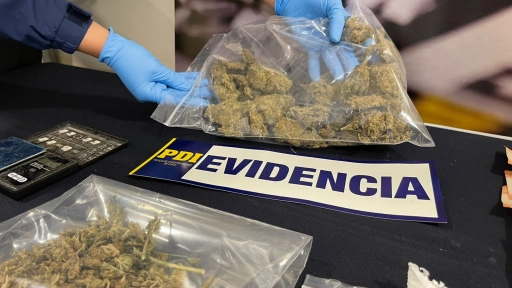 Más de 48 kilos de drogas han sido sacadas de circulación en la provincia de Biobío
